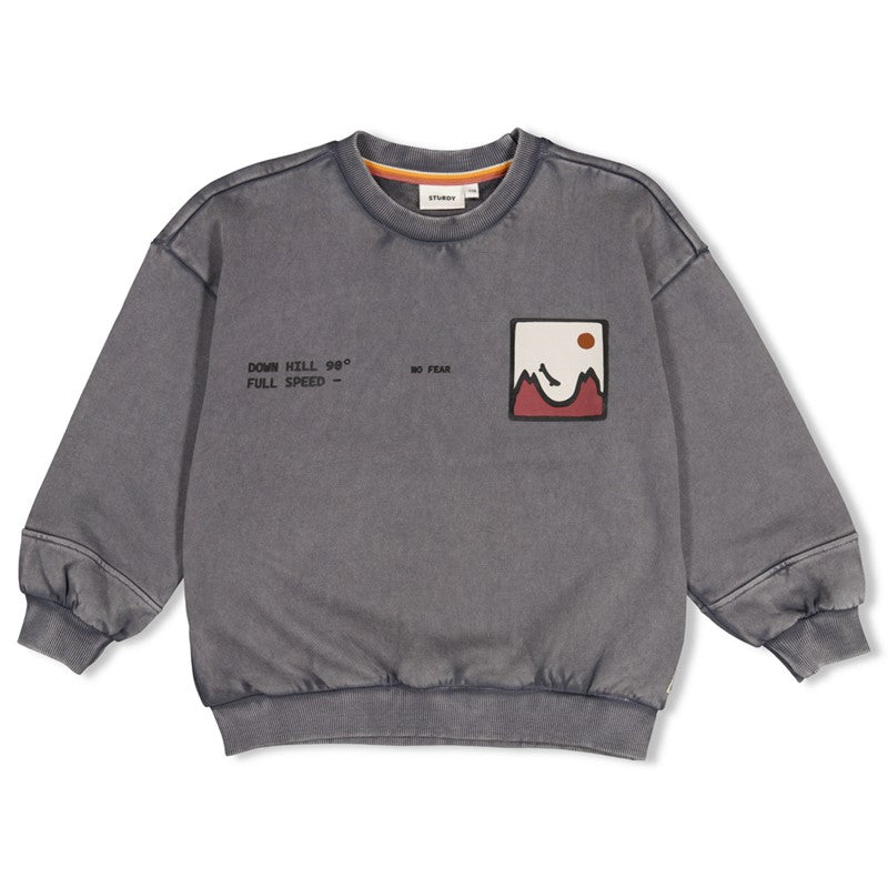 Sturdy:Mountain top: sweater met backprint grijs