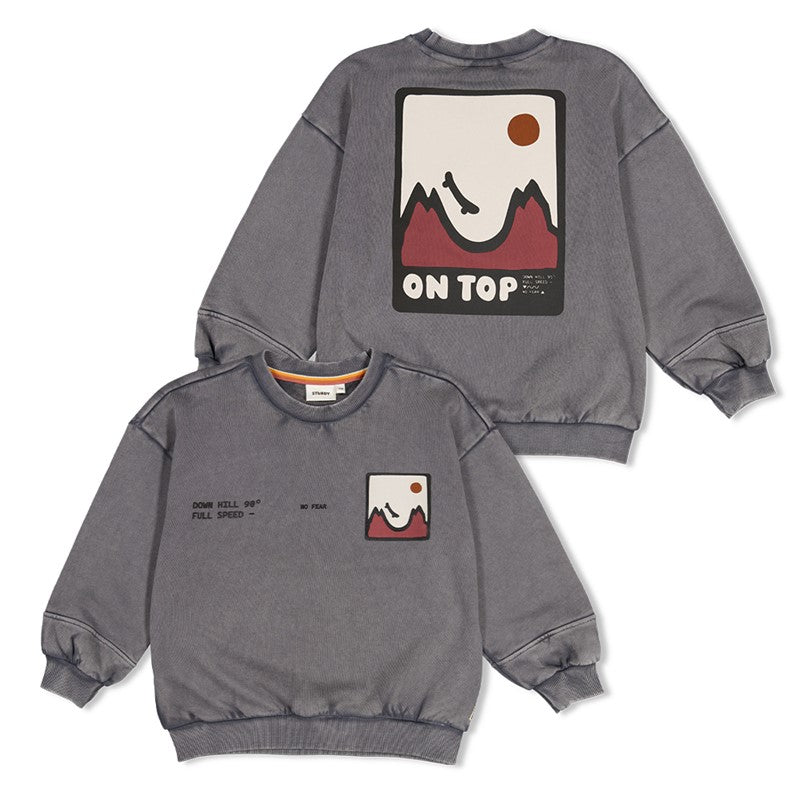 Sturdy:Mountain top: sweater met backprint grijs