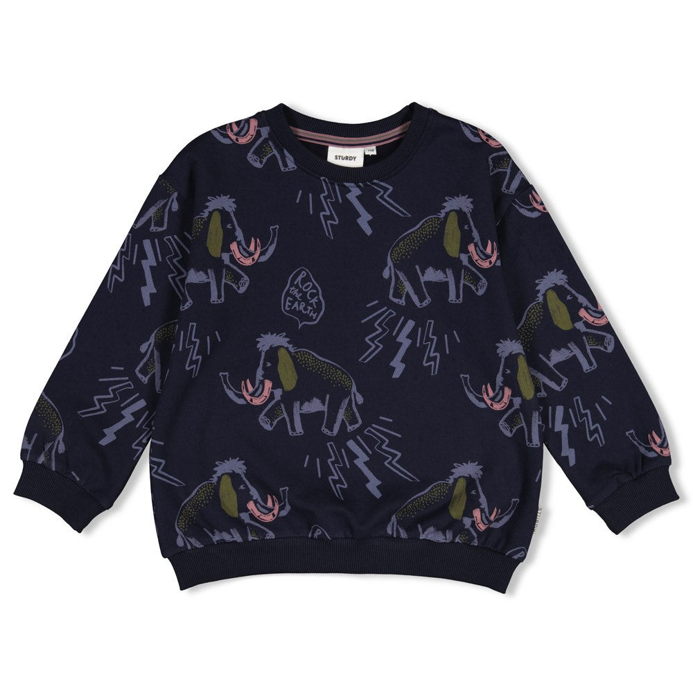 Sturdy:Rock The Earth: Sweater AOP relaxed fit