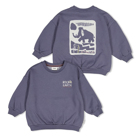Sturdy:Rock The Earth: Sweater met backprint oversized