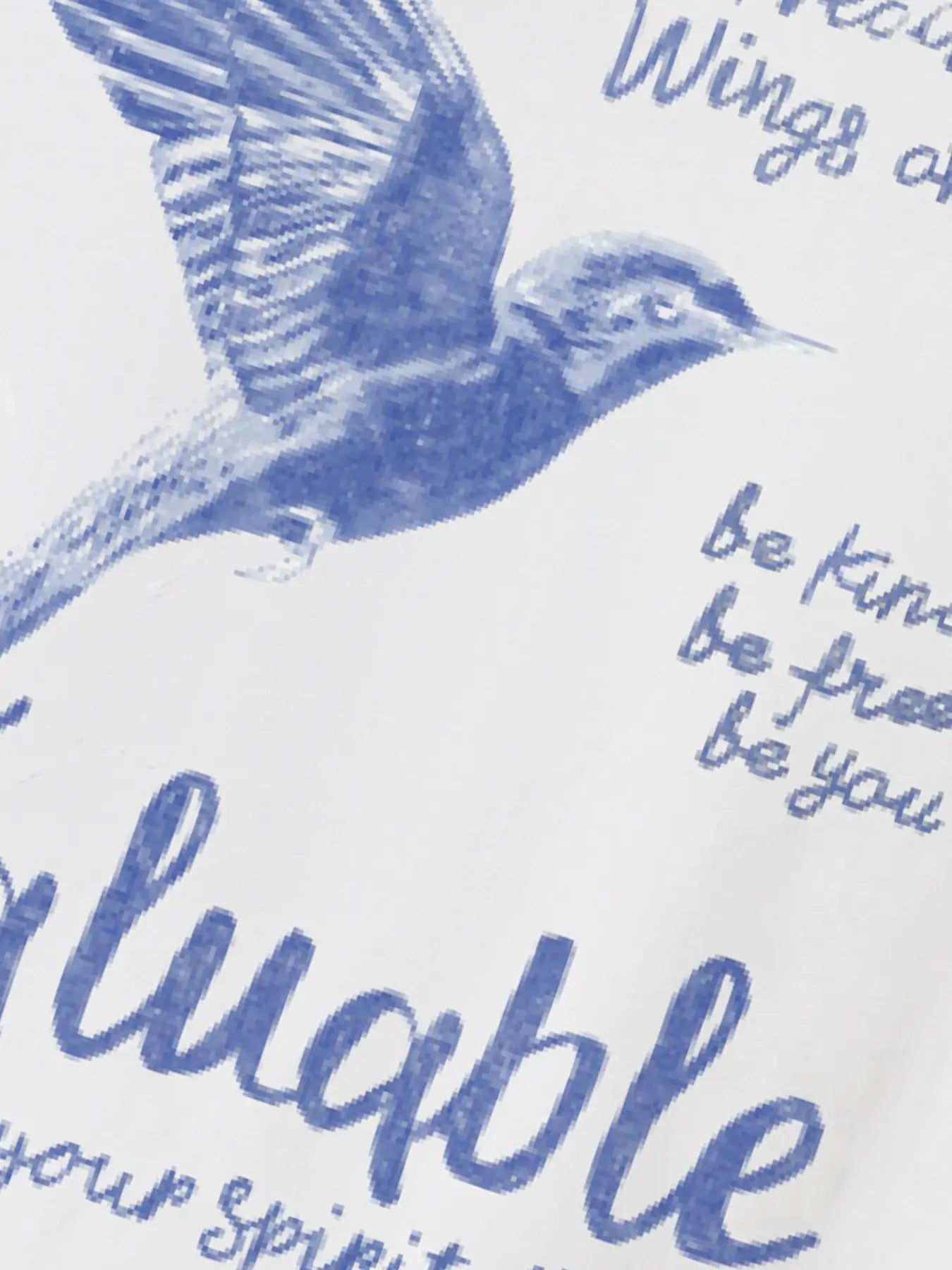 Name it: t-shirt offwhite bird