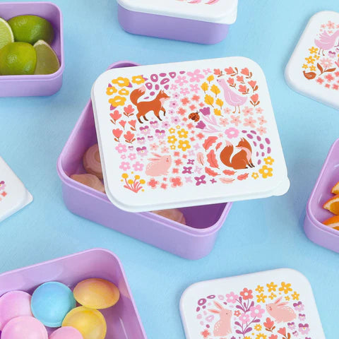 A Little Lovely Company: Lunch & snack box set: bloementuin