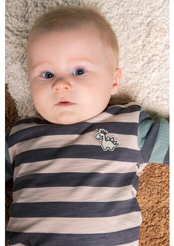Bess:shirt striped dino