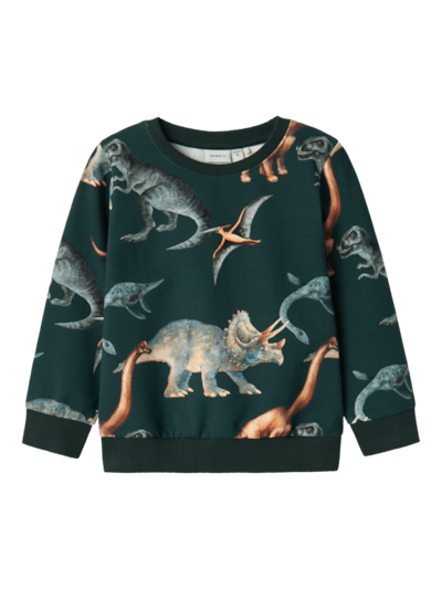 Name it: Sweater dino's :Pine Grove