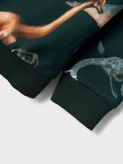 Name it: Sweater dino's :Pine Grove
