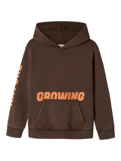 Name it: Hoodie sweater "growing" bruin