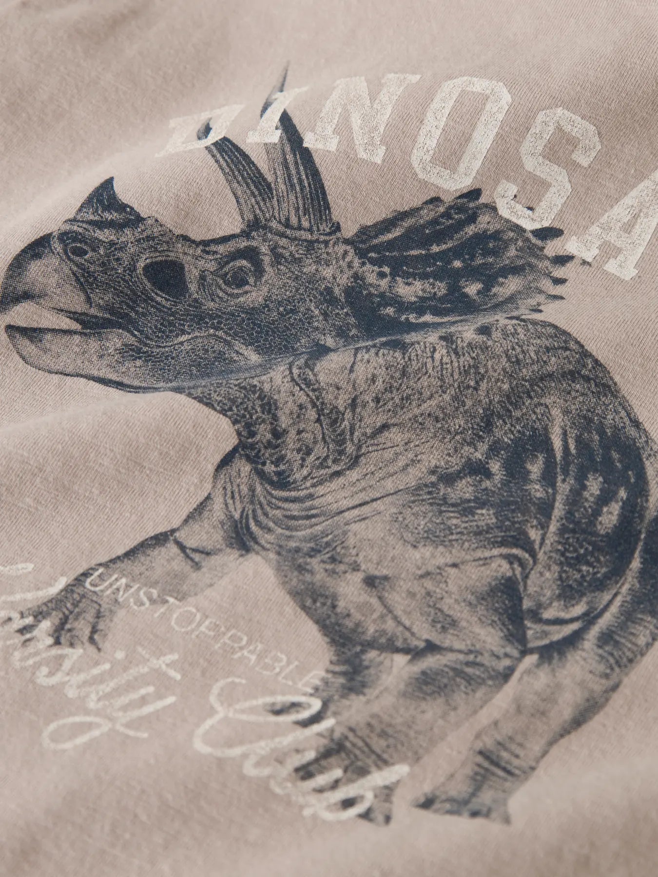 Name it: Shirt dino zand
