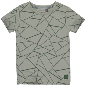 Levv: VASCO: shirt vlakken cactus green